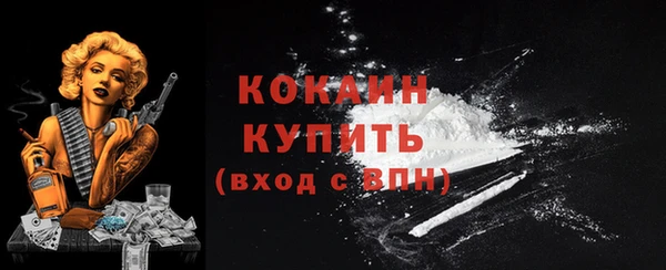 Альфа ПВП Бородино