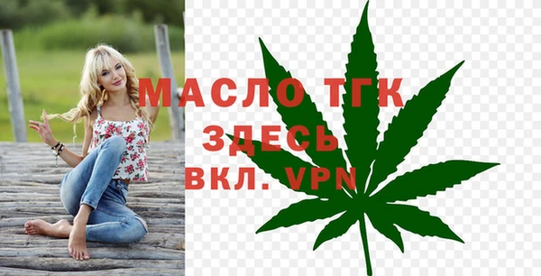 Альфа ПВП Бородино
