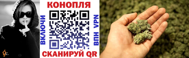 Бошки марихуана Amnesia Сосногорск